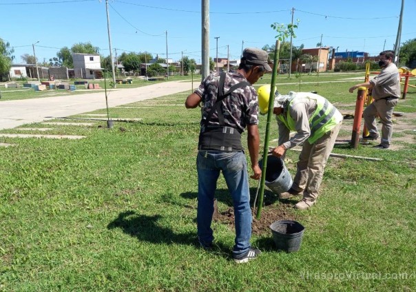 La Provincia encara plan de Arborización Urbano en barrio La Olla con participación vecinal