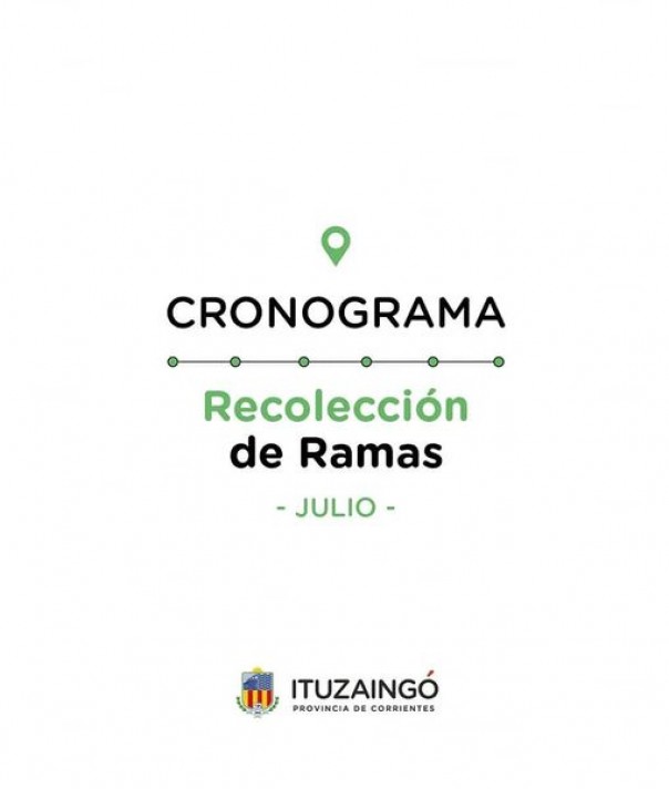 Cronograma