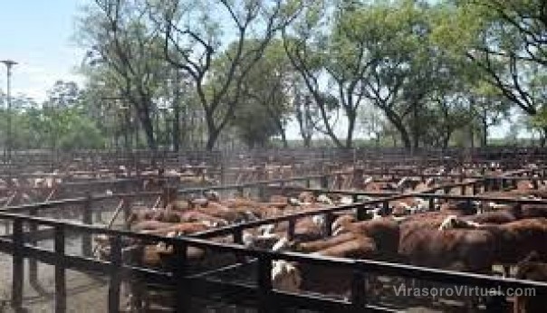 Reunión: el pedido que le hará el Campo al Gobierno de Corrientes