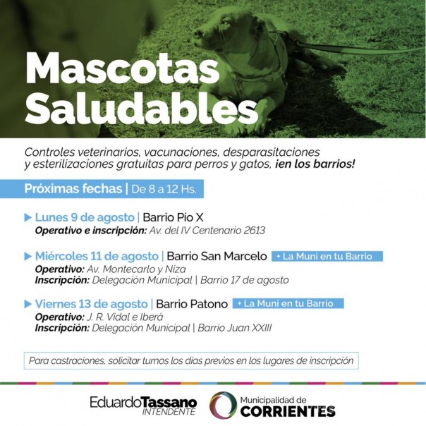 Mascotas Saludables: las atenciones veterinarias llegan a los barrios Pio X, San Marcelo y Patono