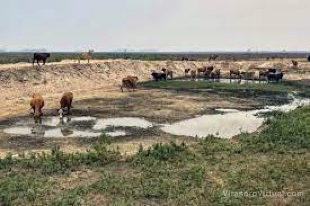 El campo alerta por la falta de pasto y espera un guiño del Gobierno provincial