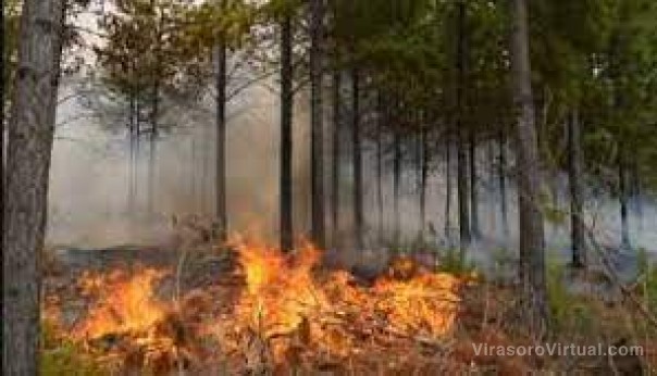 Continua el fuego: Corrientes registró 12 focos de incendios