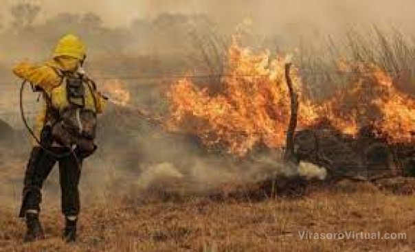 Realizarán capacitaciones para combatir los incendios forestales: cómo inscribirse