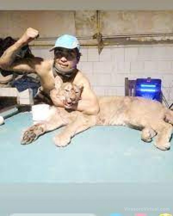 Identificaron al joven que cazó al puma concolor y la Justicia investiga el hecho