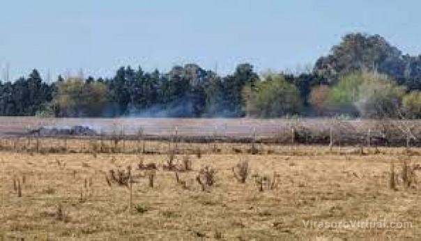 Productores aseguran que "el déficit hídrico es brutal y la faltante de pasto es enorme"