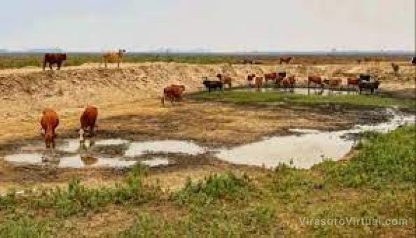 Emergencia: Productores aguardan que Nación homologue la medida provincial
