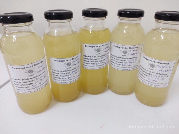 Desarrollan una bebida frutal “probiótica” utilizando un derivado de la leche