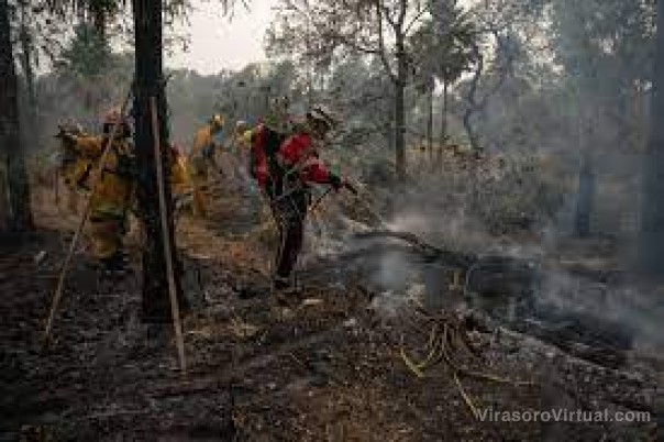 Con casi 45.000 focos de calor, Corrientes quedó primera en el ranking de este año