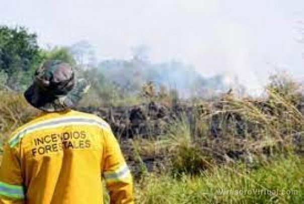 Iberá: afirman que la situación empeora y el fuego se podría extender hasta abril