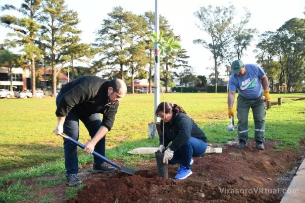 Plantamos dos ejemplares de Lapacho