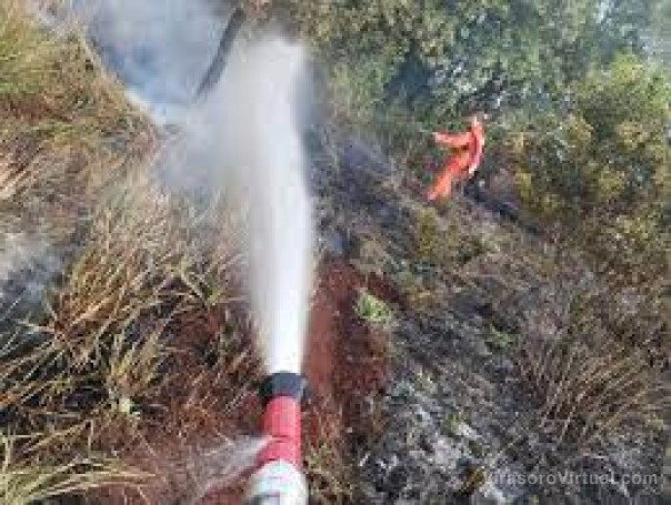 Garaví: incendio en un aserradero fue rápidamente controlado