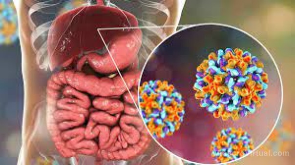 Salud Pública recuerda las medidas para prevenir la Hepatitis