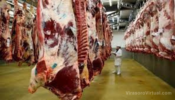 Vara sobre el troceo de carne: “Es irrealista, además, la Provincia es la autoridad de aplicación”