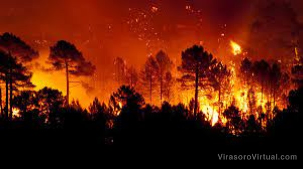 Corrientes: cosechas adelantadas y el fuego que no cesa