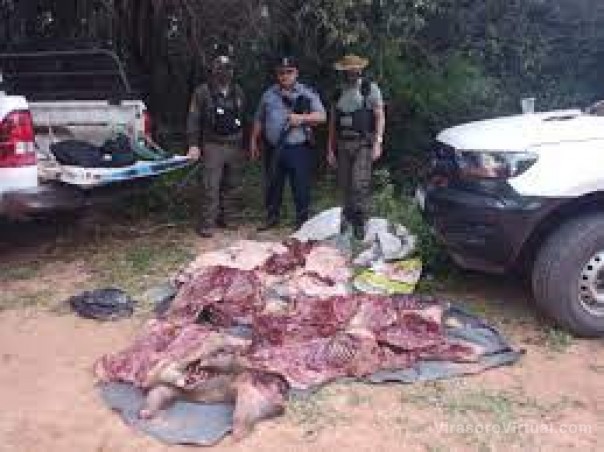 Demoraron a seis personas con ocho carpinchos faenados