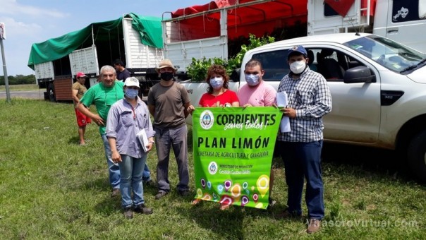 El Plan Limón llegó a Loreto con más plantines y herramientas para los pequeños productores