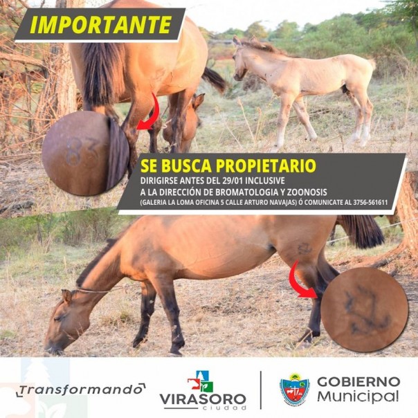 ATENCIÓN VECINOS