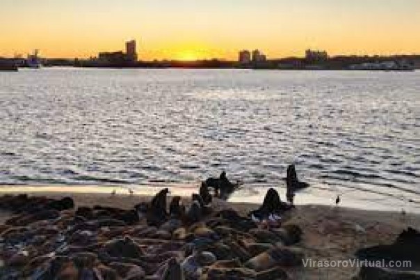 Fin de semana largo: en promedio, cada turista gastó $7.100 por día