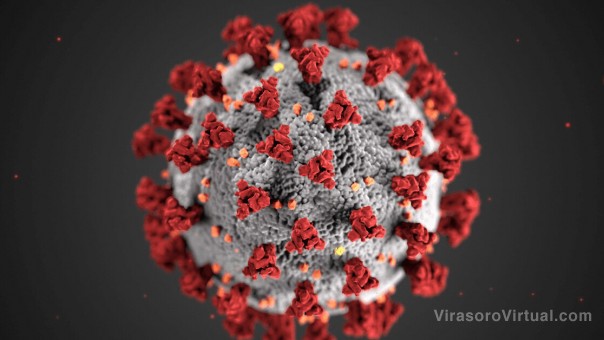 Los investigadores utilizan la inteligencia artificial para determinar qué enfermedades de  animales infectarán