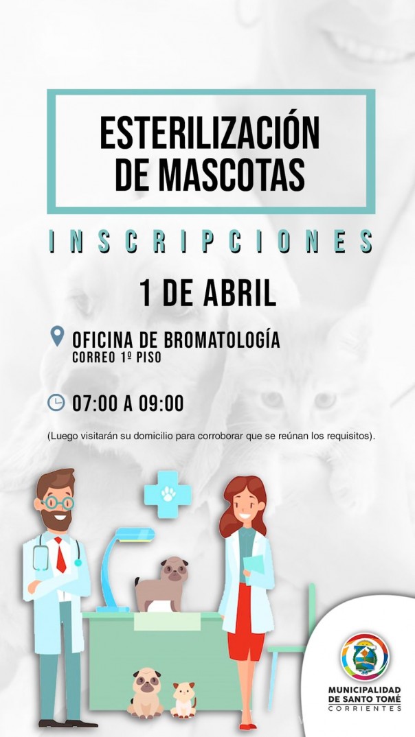 Esterilización de mascotas