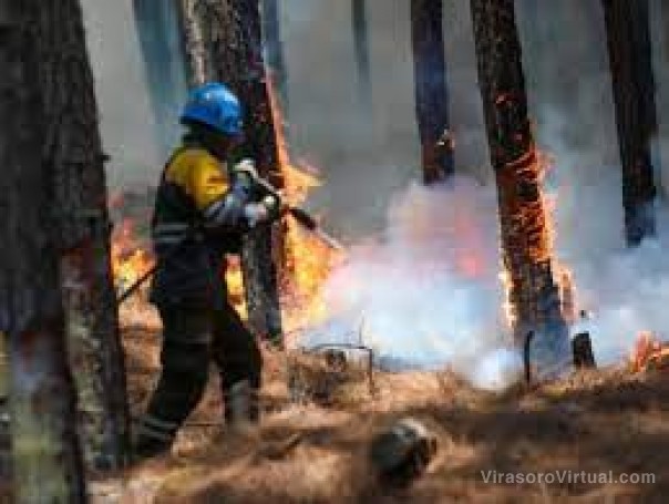 Alistan 500 brigadistas para una histórica lucha contra el fuego