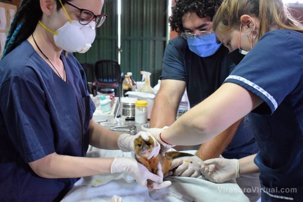 Más entidades del país se suman a la acción solidaria de ayuda al Centro Aguará