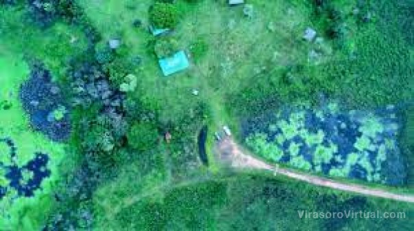 Esteros del Iberá: asombrosa recuperación de la vegetación a cinco meses de los incendios