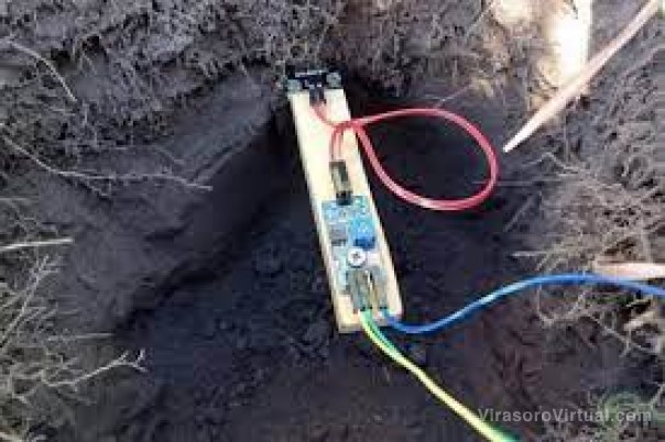 Diseñan un sensor de bajo costo y de fácil manejo para medir la humedad de suelos productivos