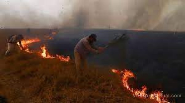 Los daños económicos por la catástrofe ambiental ascienden a $82.000 millones