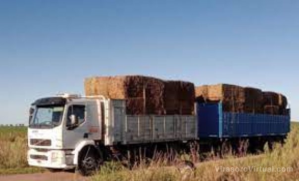 Santiago Maratea y cuatro provincias donaron $25 millones en alimentos para ganado