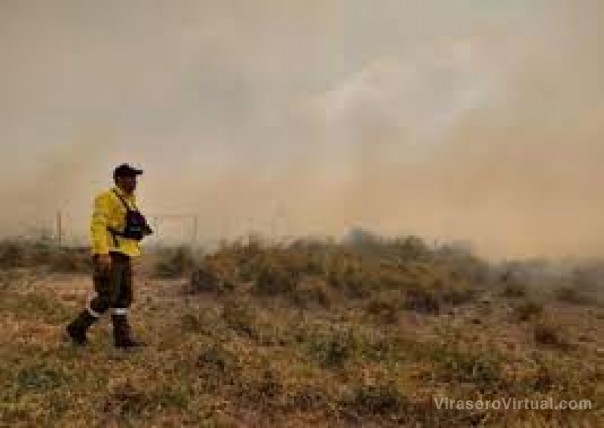 Corte de 5 horas en la ruta 12 por incendios: más de 100 bomberos para contener las llamas