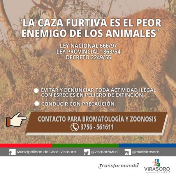 Fauna silvestre