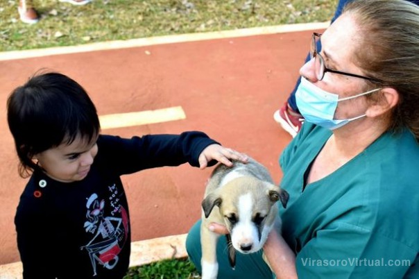Positiva Jornada de Adopción en el Boulevard Tarragó Ros