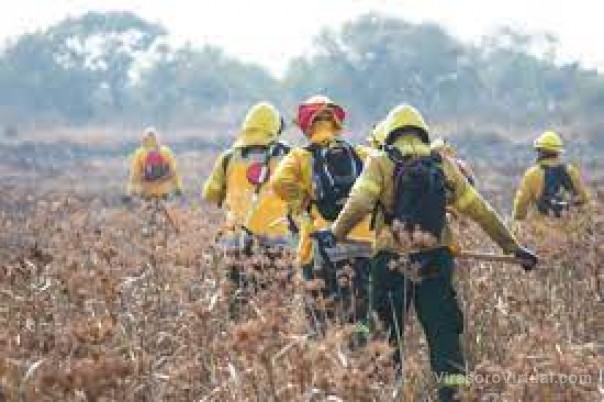 Un rebrote de incendios avanza por los Esteros