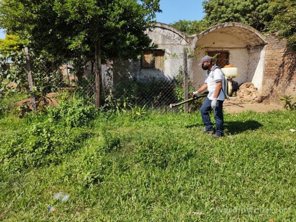 Tareas de fumigación en Barrio 50 viviendas.