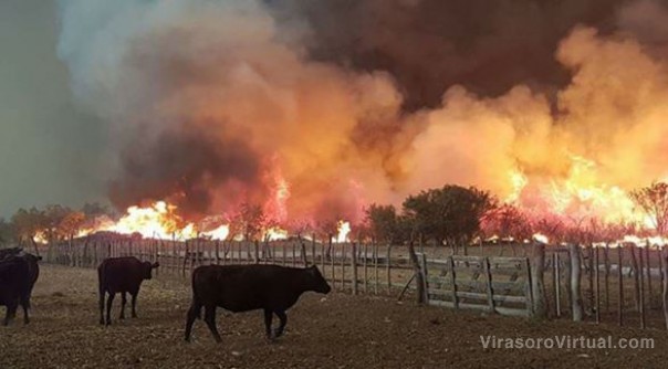Indagarán el impacto de incendios y sequía en el mercado de trabajo en dos departamentos de Corrientes