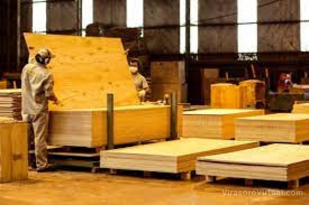 Virasoro se posiciona como potencia foresto industrial