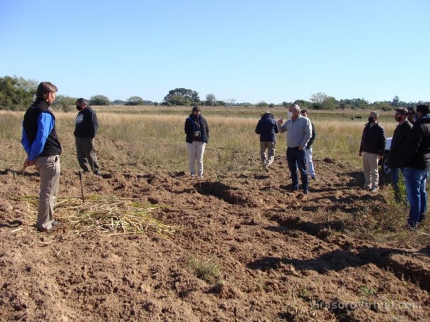 Proyecto Semilleros para Pasturas: se proyecta una importante expansión por toda la provincia