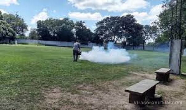 Seis barrios capitalinos concentran casos de dengue