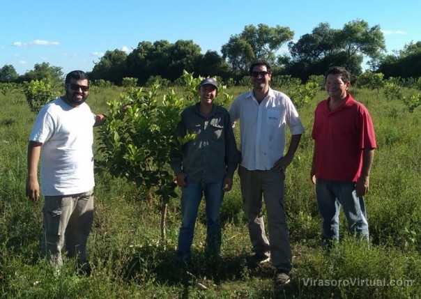 Plan Limón: en Caá Catí se continuó con el acompañamiento técnico y asesoramiento a productores de la zona
