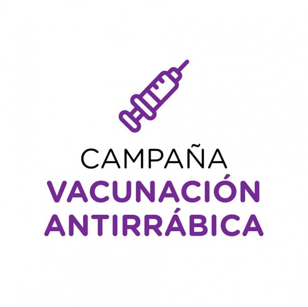Campaña antirrábica gratuita