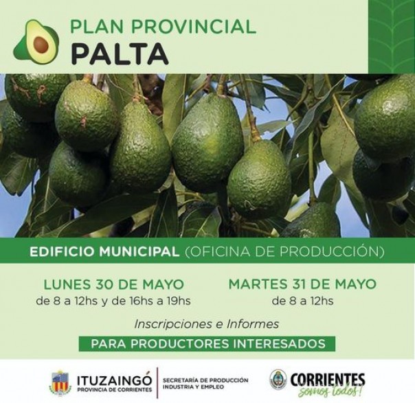 Plan PALTA