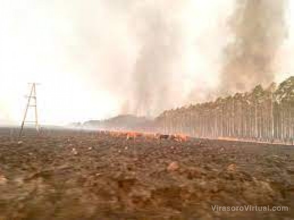 Incendios en Corrientes: la lluvia trajo alivio pero creen que solo por 48 horas