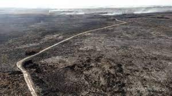 Se quemaron más hectáreas durante enero y febrero que en cinco años