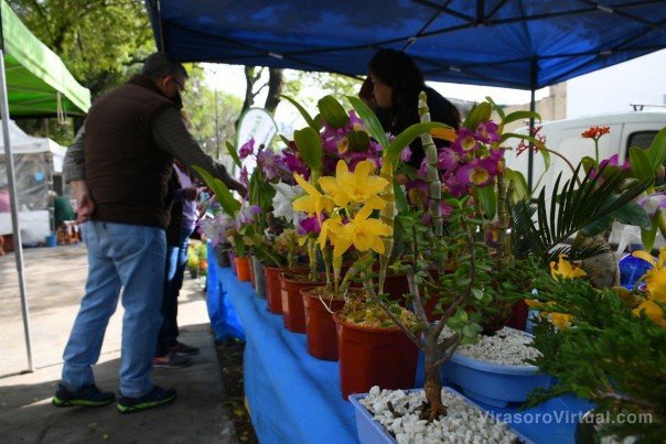 Las Ferias de la Ciudad preparan un nuevo recorrido a lo largo de toda la semana