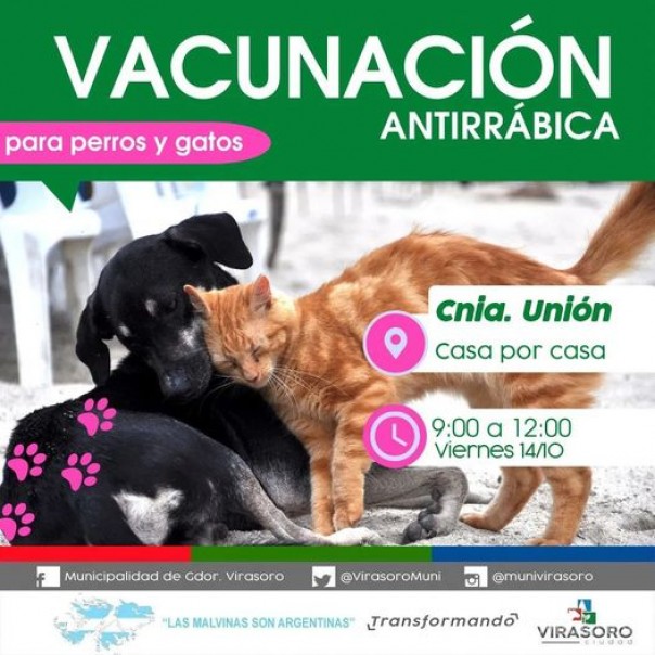 Vacunación Antirrábica
