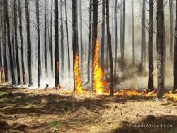 Incendios generaron cortes de luz, pero la lluvia aplacó el fuego