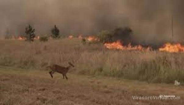 El campo espera la prórroga nacional del Estado de Emergencia Agropecuaria