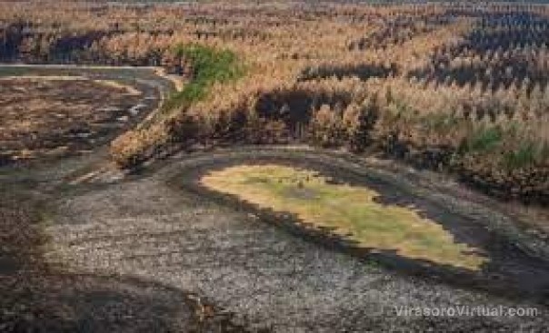 Consecuencias de La Niña: se secaron 34.000 lagunas en Corrientes