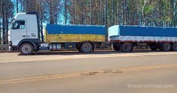 Incautaron 180 toneladas de soja valuada en 17 millones de pesos